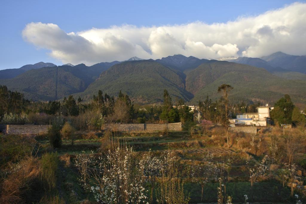 大理市 Hidden Garden Dali Bed & Breakfast 部屋 写真
